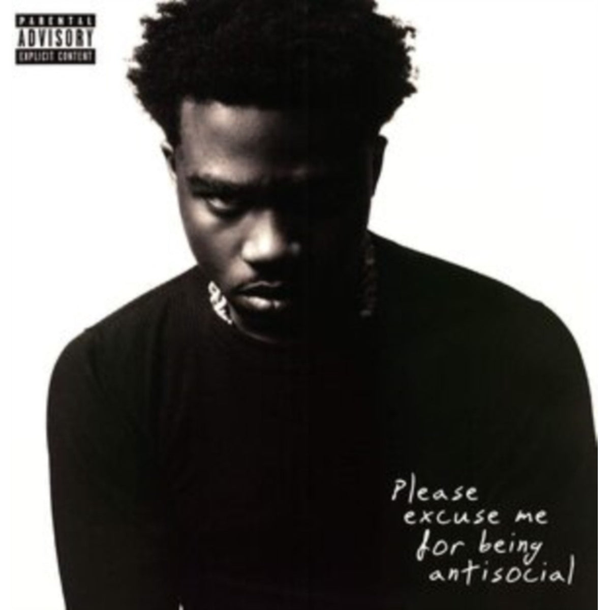 Please Excuse Me For Being Antisocial (2LP)