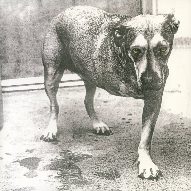Alice In Chains (2LP/Yellow Neon Vinyl)