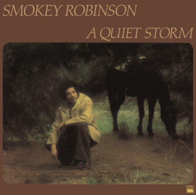 Smokey Robinson - Quiet Storm (180G) - LP Vinyl