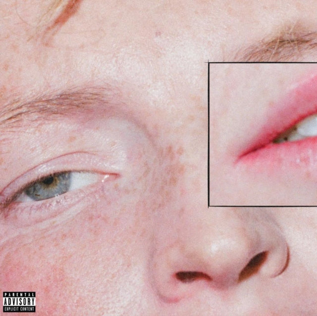 Greeting Committee - Dandelion - LP Vinyl