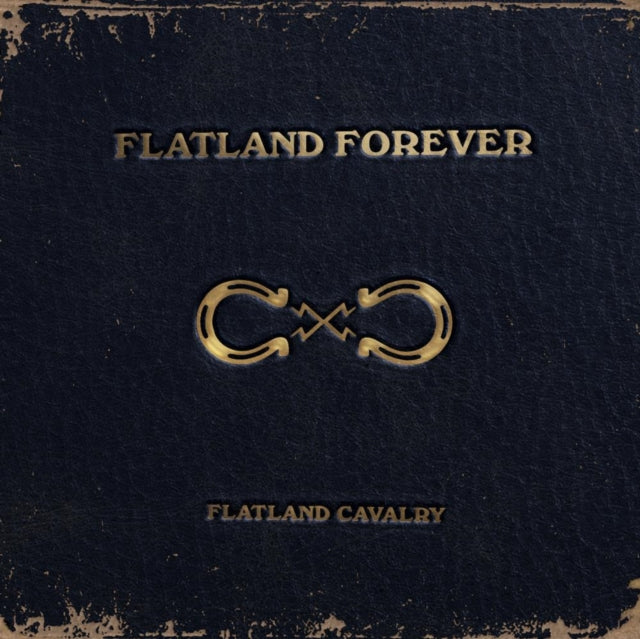 This LP Vinyl is brand new.Format: LP VinylMusic Style: CountryThis item's title is: Flatland Forever (Gold Vinyl/2LP)Artist: Flatland CavalryLabel: Interscope RecordsBarcode: 602475147688Release Date: 1/10/2025