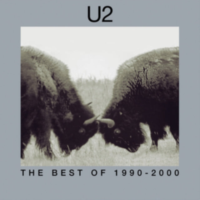 Best Of 1990-2000 (2LP)