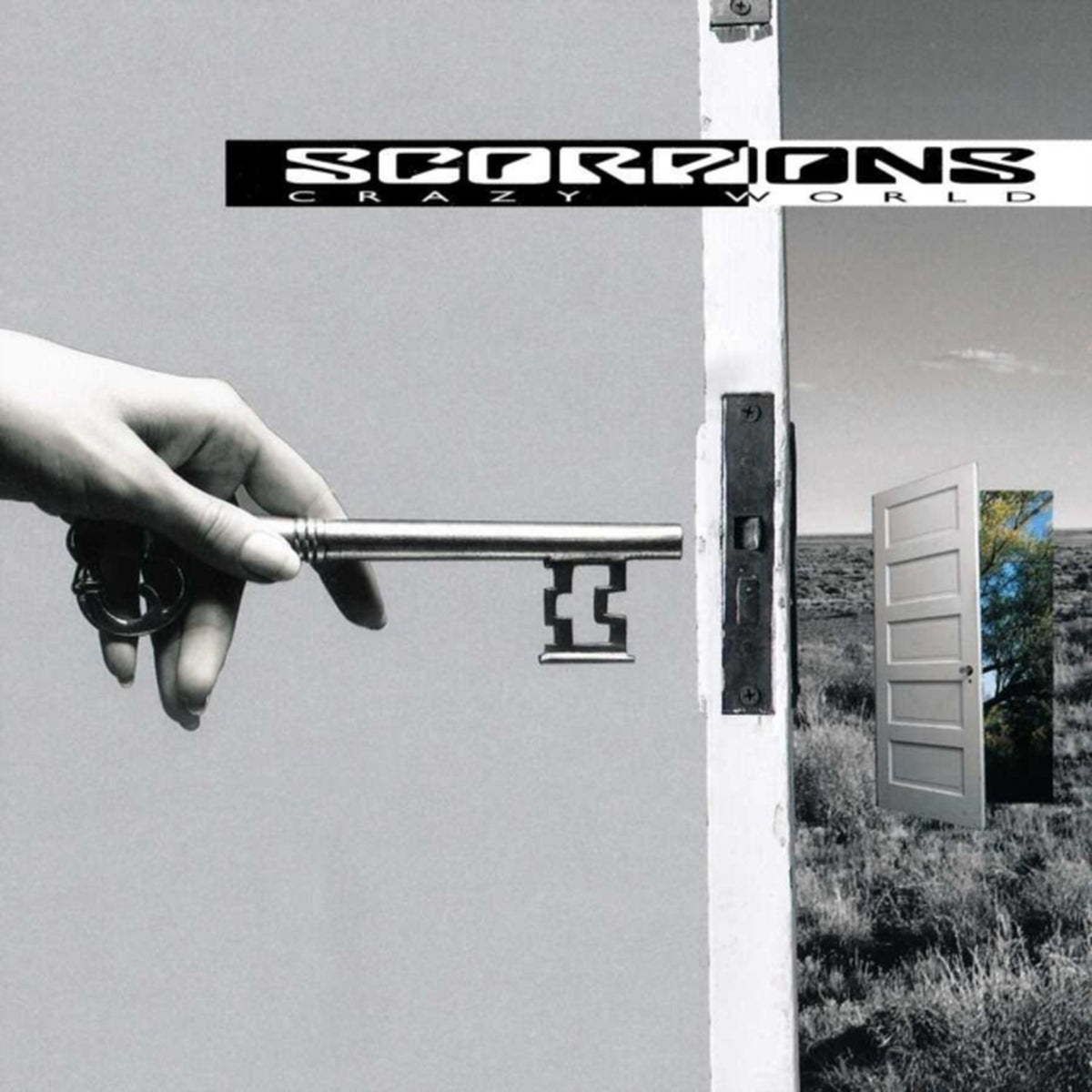 Coming Home Live (180G/2LP) & Crazy World