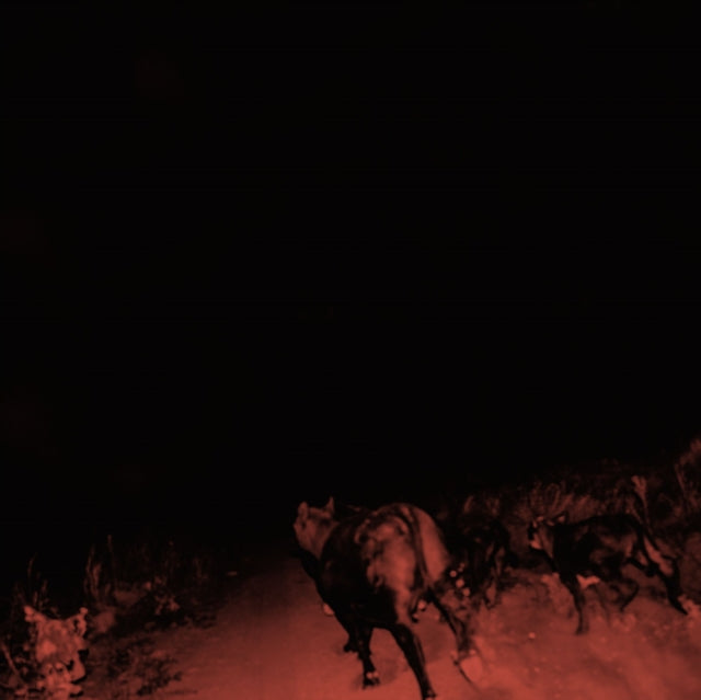 This LP Vinyl is brand new.Format: LP VinylMusic Style: Pop RockThis item's title is: Shadow On EverythingArtist: BambaraLabel: WHARF CAT RECORDSBarcode: 616892567240Release Date: 4/6/2018