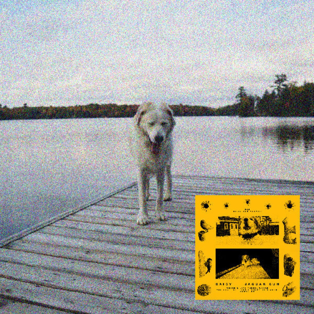 Daisy (Black & Yellow Swirl LP Vinyl)