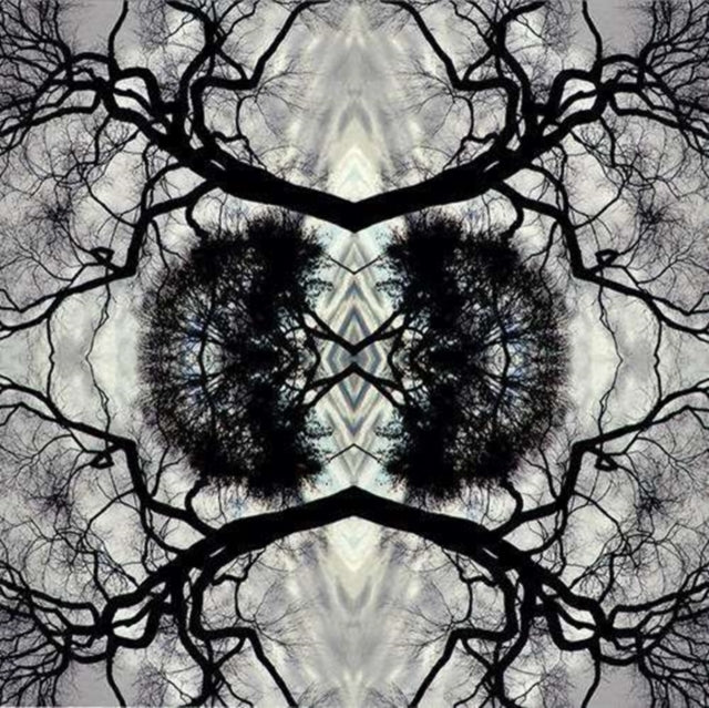 Adam Rudolph - Sonic Mandala Go: Organic Orchestra - CD
