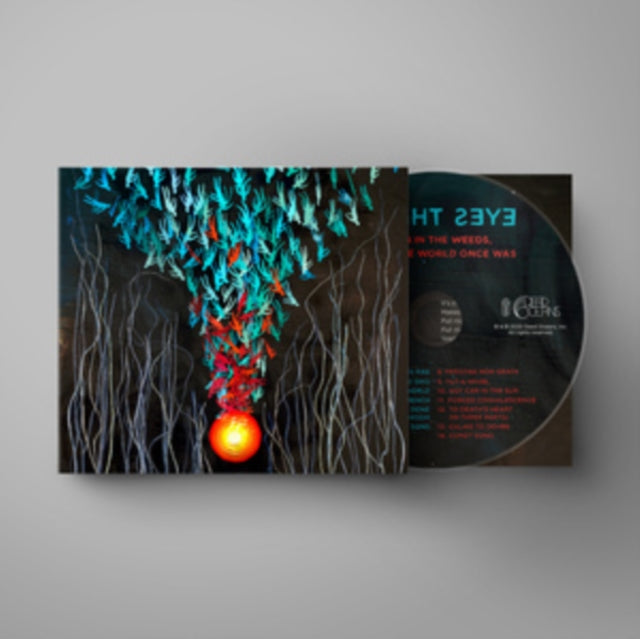 Product Image : This CD is brand new.<br>Format: CD<br>Music Style: Europop<br>This item's title is: Down In The Weeds Where The World Once Was<br>Artist: Bright Eyes<br>Label: DEAD OCEANS<br>Barcode: 656605151021<br>Release Date: 8/21/2020