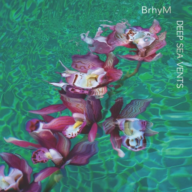 Product Image : This CD is brand new.<br>Format: CD<br>This item's title is: Deep Sea Vents<br>Artist: Brhym<br>Barcode: 691835885834<br>Release Date: 3/1/2024