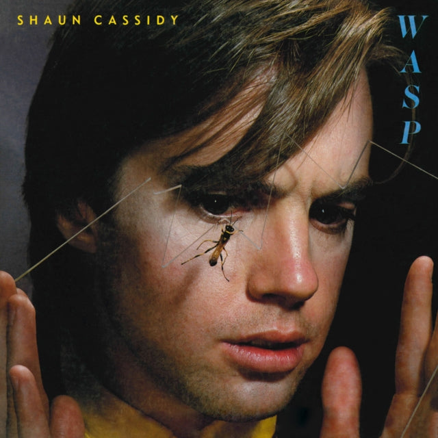 This LP Vinyl is brand new.Format: LP VinylMusic Style: Pop RockThis item's title is: WaspArtist: Shaun CassidyLabel: CURB RECORDSBarcode: 715187928015Release Date: 7/17/2021