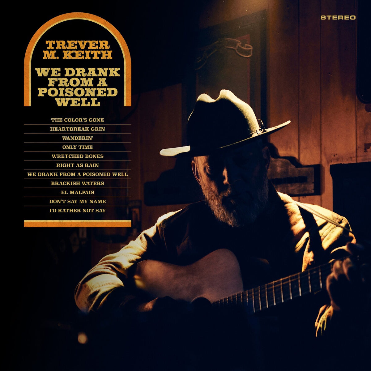 We Drank From A Poisoned Well (Color LP Vinyl)