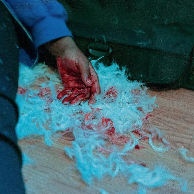 This LP Vinyl is brand new.Format: LP VinylThis item's title is: Dear Lemon House, You Ruined Me: Senior Year (Orange Pop LP Vinyl)Artist: KaonashiLabel: EQUAL VISION RECORDSBarcode: 794558043519Release Date: 10/1/2021