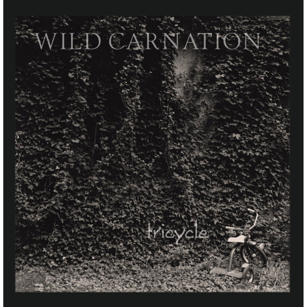 Tricycle (Carnation White LP Vinyl)