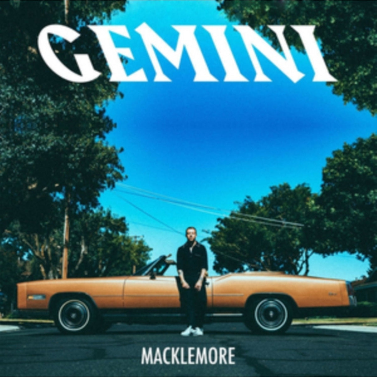 Gemini (X)
