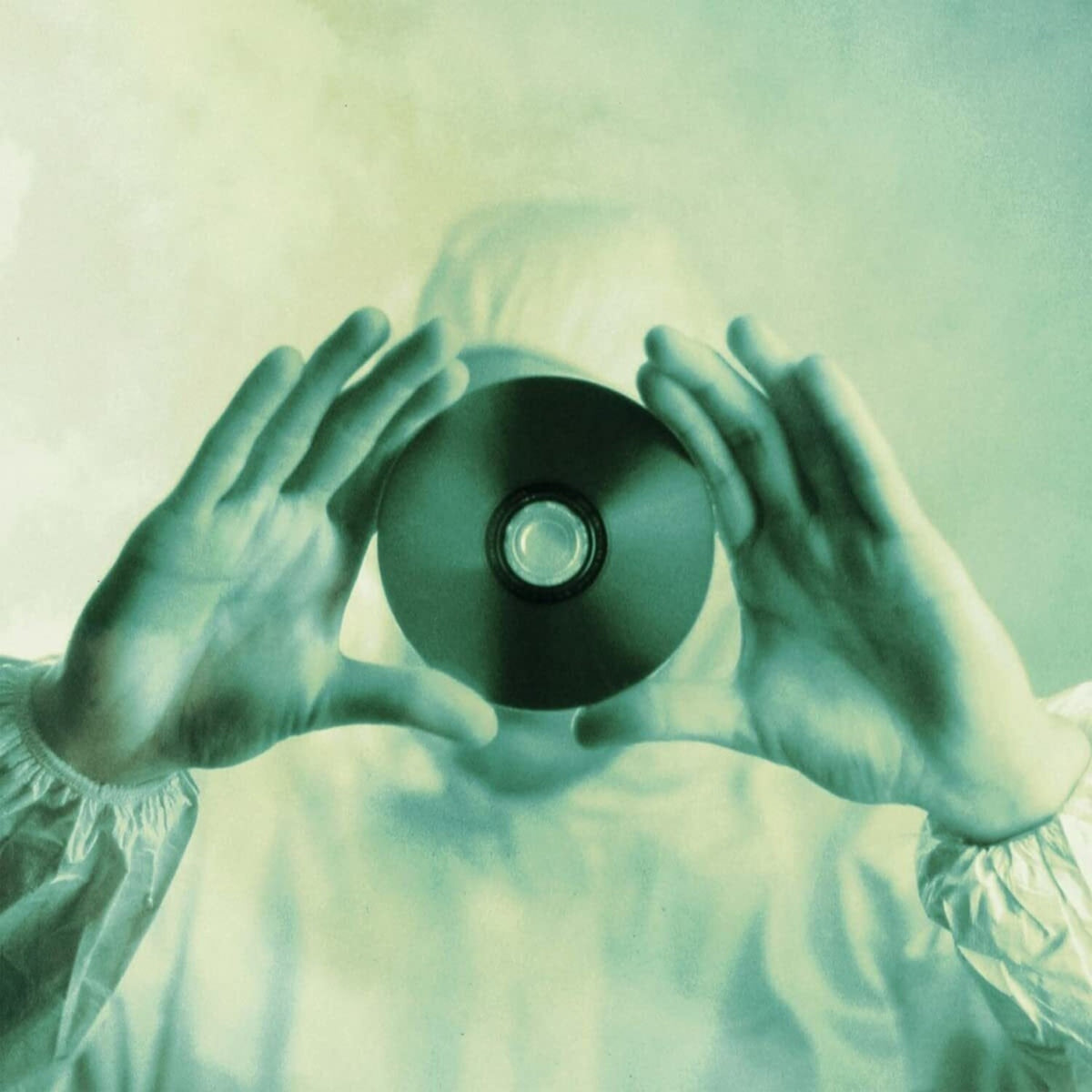 Stupid Dream (2LP/140G/Gatefold Sleeve)