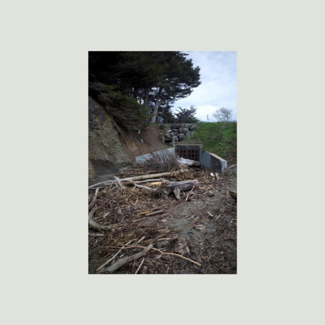 Here Comes The Cowboy & Five Easy Hot Dogs