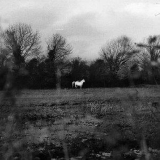 This LP Vinyl is brand new.Format: LP VinylMusic Style: BoogieThis item's title is: When You Run Away, Do You Close Your EyesArtist: FlatsoundLabel: MANY HATS DISTBarcode: 843563155318Release Date: 1/27/2023