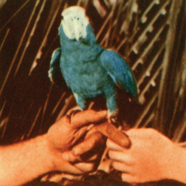 Product Image : This CD is brand new.<br>Format: CD<br>This item's title is: Are You Serious<br>Artist: Andrew Bird<br>Label: Loma Vista<br>Barcode: 888072389977<br>Release Date: 4/1/2016