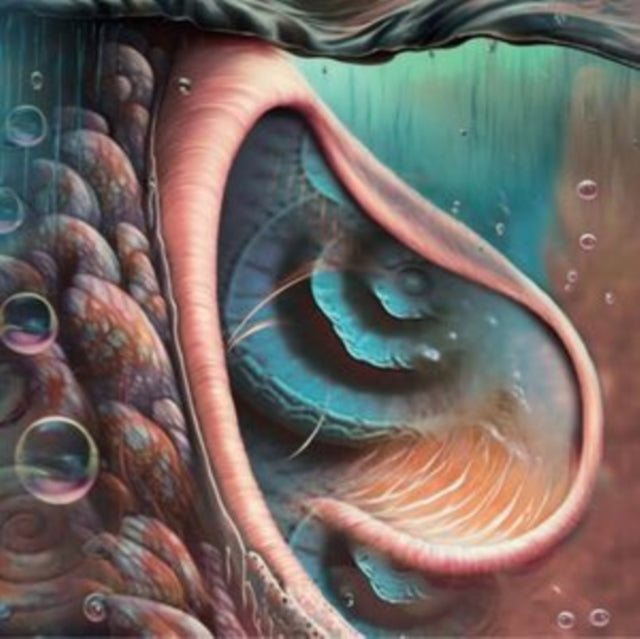 Product Image : This CD is brand new.<br>Format: CD<br>This item's title is: Tribute To Pink Floyd<br>Artist: Various Artists<br>Label: CLEOPATRA<br>Barcode: 889466433627<br>Release Date: 9/1/2023