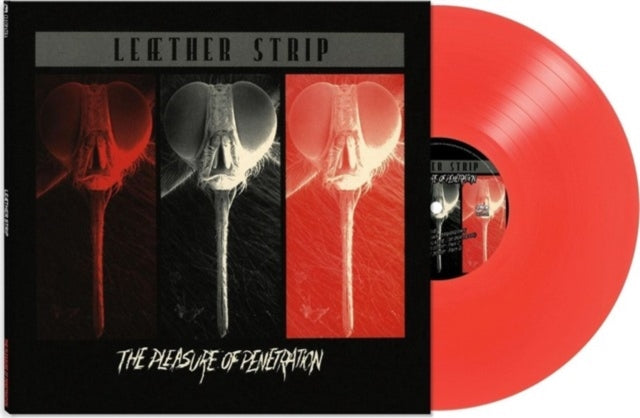 This LP Vinyl is brand new.Format: LP VinylThis item's title is: Pleasure Of Penetration (Red LP Vinyl)Artist: Leaether StripBarcode: 889466468612Release Date: 12/29/2023