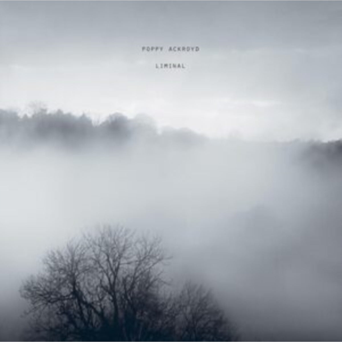 Liminal