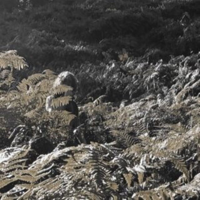 This LP Vinyl is brand new.Format: LP VinylThis item's title is: Prisoners Of Love & HateArtist: ApostilleBarcode: 5060446127964Release Date: 9/22/2023