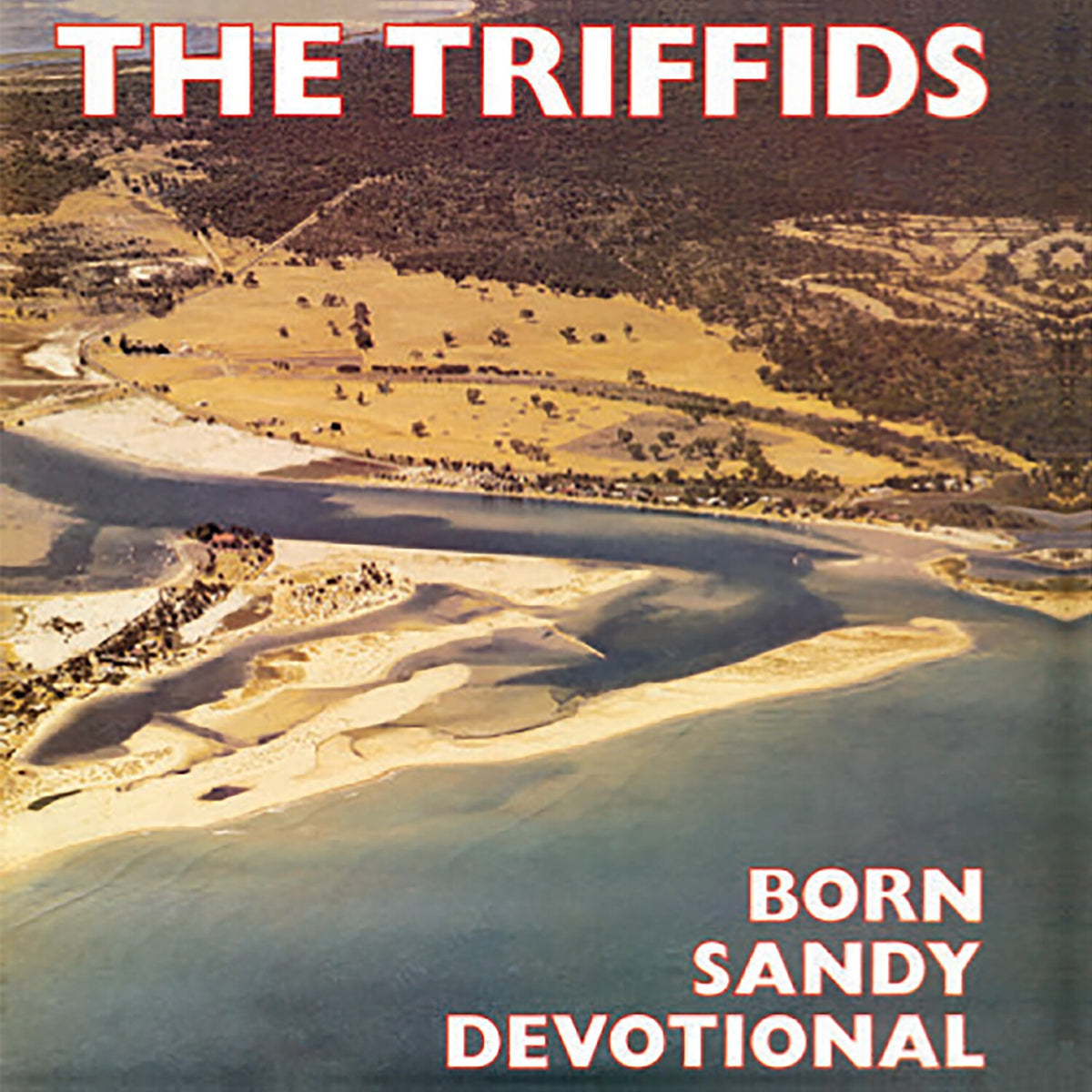 Born Sandy Devotional (Yellow LP Vinyl)