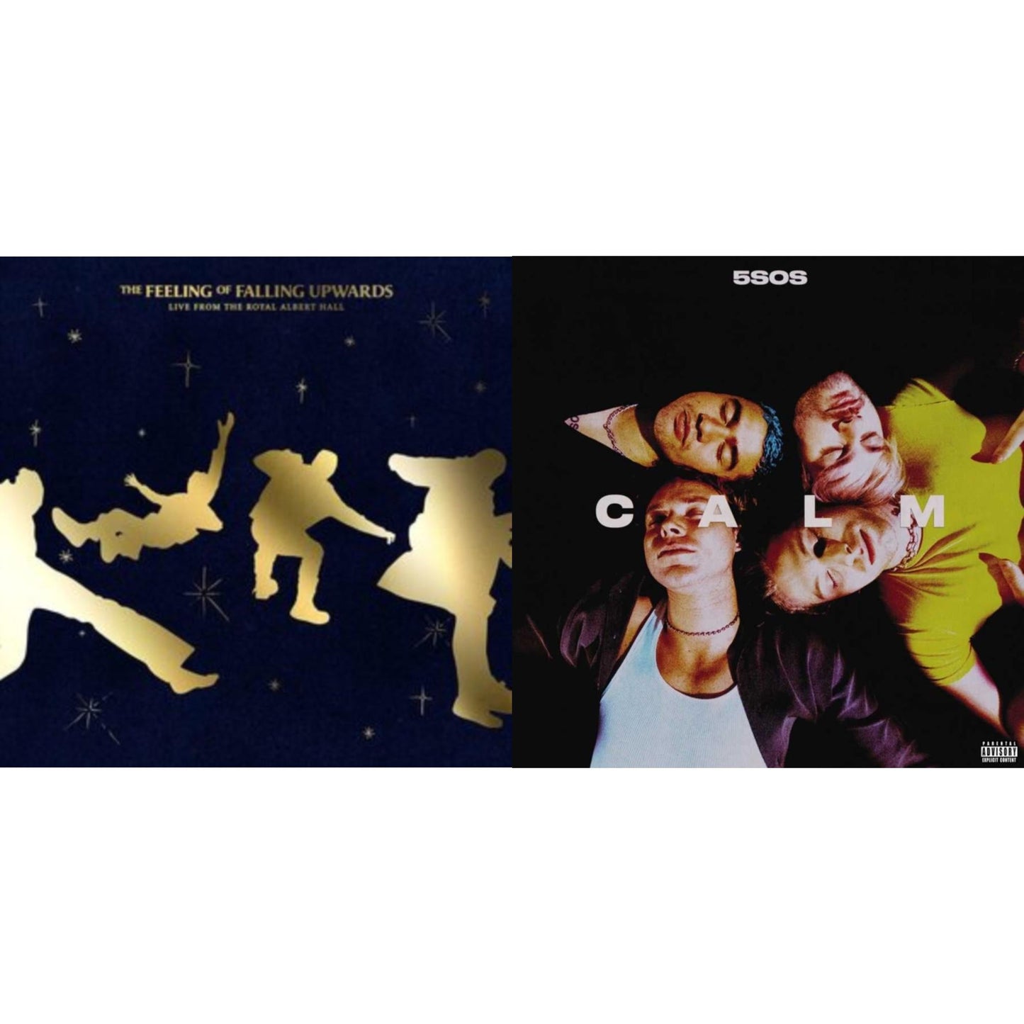 Feeling Of Falling Upwards (Live From The Royal Albert Hall) (X) (2LP) & Calm (X)