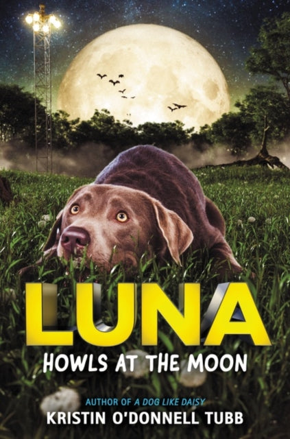 Binding: Hardcover
Description: The award - winning author of A Dog Like Daisy returns with a moving middle grade novel from the point of view of Luna a Labrador therapy dog who accompanies her group therapy kids when they set off on an adventure across Austin Texas.
