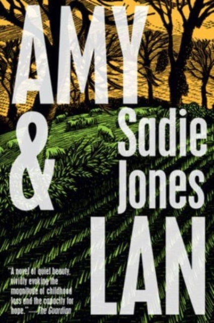 Jones Sadie - Amy & Lan A Novel - Paperback