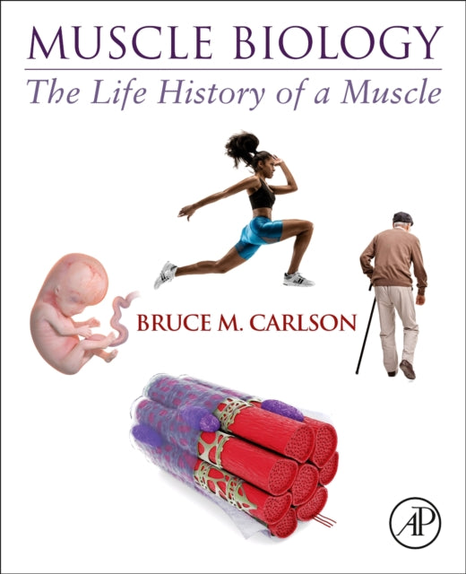 Binding: Paperback
Description: Muscle Biology: The Life History of a Muscle looks at the story of a muscle from its embryonic beginnings through its growth and ability to adapt to changing functional circumstances during adult life to its eventual decline in both structure and function as old age progresses.