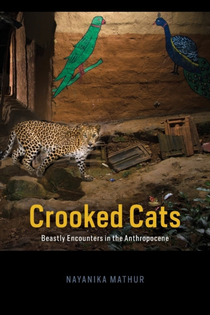 Binding: Paperback
Description: Big cats tigers leopards and lions that make prey of humans are commonly known as man - eaters. Anthropologist Nayanika Mathur reconceptualizes them as cats that have gone off the straight path to become crooked.