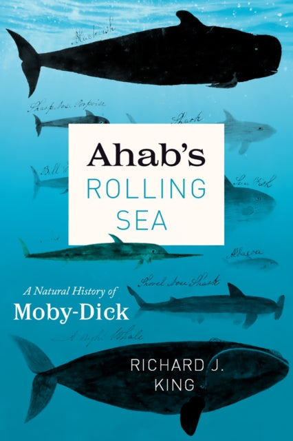 Binding: Paperback
Description: Exploring everything from giant squid to sea birds sharks to sperm whales this epic voyage with scholar and seafarer Richard J. King provides a new way of approaching Melville's classic sea - yarn: as a book about nature itself.