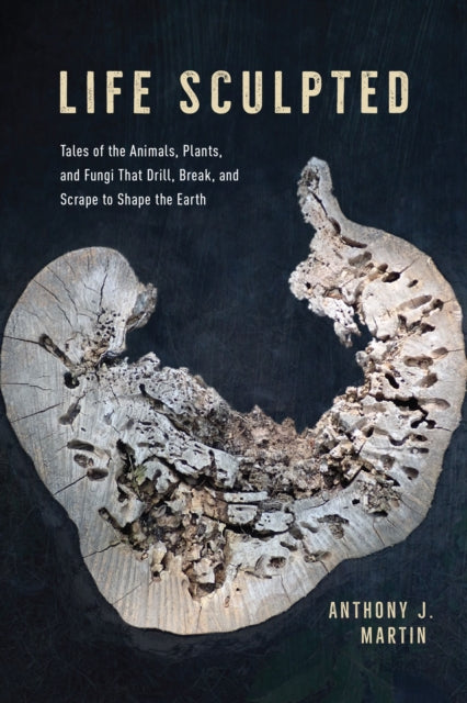 Life Sculpted Tales Of The Animals Plants And Fungi That Drill Break And Scrape To Shape The Earth