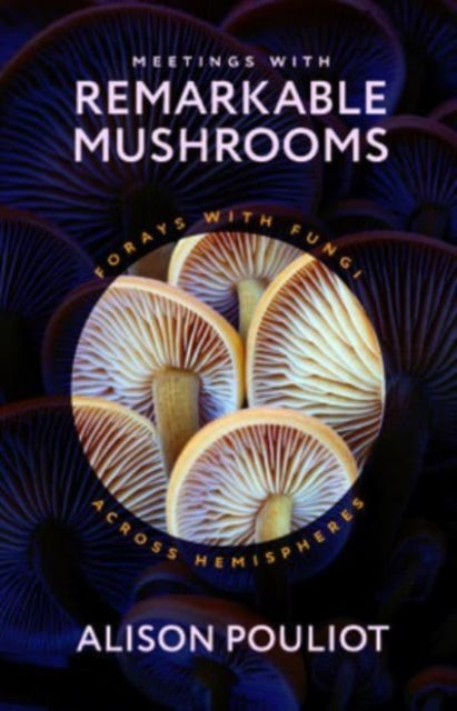 Meetings With Remarkable Mushrooms Forays With Fungi Across Hemispheres