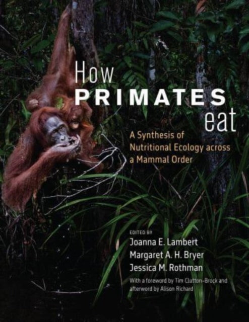 Binding: Paperback
Description: Exploring everything from nutrients to food acquisition and research methods a comprehensive synthesis of the study of diet and feeding in nonhuman primates.