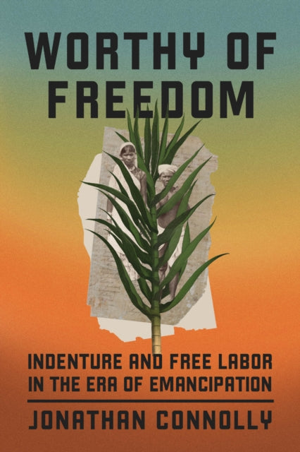 Binding: Paperback
Description: A study of Indian indentured labor in Mauritius British Guiana and Trinidad that explores the history of indenture's normalization.