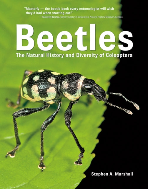 Binding: Hardcover
Description: Comprehensive illustrated encyclopedia of the world's coleoptera featuring 4,500 colour photographs and authoritative text.
Title: Beetles The Natural History And Diversity Of Coleoptera
Author(s): Marshall Stephen A.