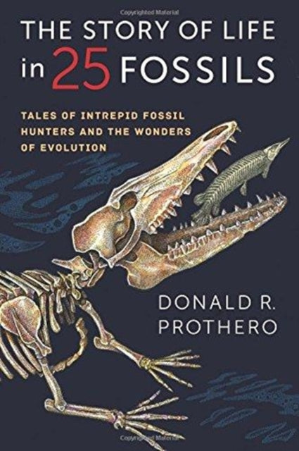 Binding: Paperback
Description: Every fossil tells a story. Best - selling paleontology author Donald R. Prothero describes twenty - five famous fossils in a gripping scientific history.