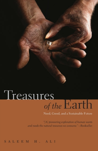 Ali Saleem H - Treasures Of The Earth Need Greed And A Sustainable Future - Paperback
