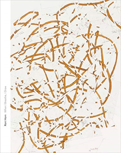 Binding: Paperback
Description: Describing drawing as her primary activity for over thirty years Roni Horn (b. 1955) has created innovative and experimental works on paper marked by both conceptual and technical complexity.