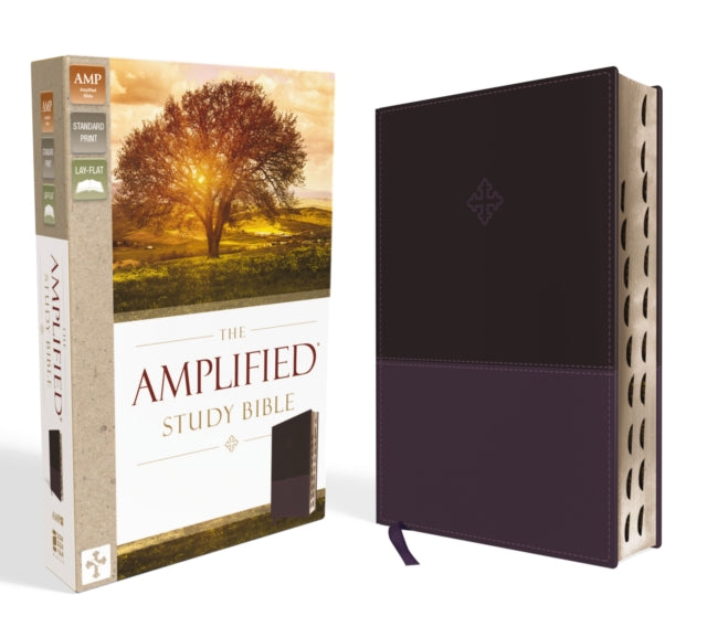 Zondervan - The Amplified Study Bible Leathersoft Purple Thumb Indexed