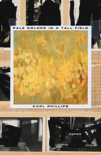 Binding: Paperback
Title: Pale Colors In A Tall Field Poems
Author(s): Phillips Carl
Publisher: Farrar Straus And Giroux
Barcode: 9780374539351
Pages: 80 Pages
Language: English
Publication Date: 3/23/2021