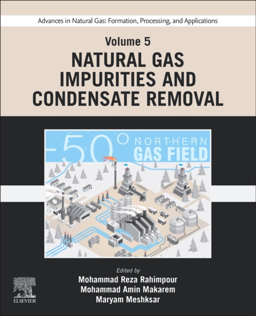 Elsevier - Health Sciences Division - Advances In Natural Gas: Formation Processing And Applications. Volume 5: Natural Gas Impurities And Condensate Removal - Paperback
