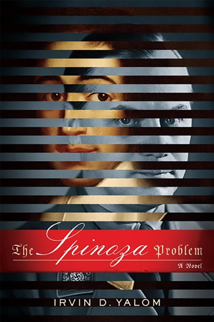 The Spinoza Problem A Novel