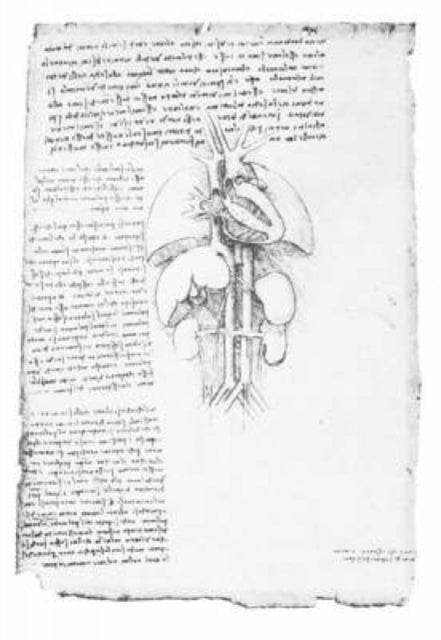 Binding: Paperback
Description: Using scientific methods in his investigations of the human body the first ever by an artist da Vinci was able to produce remarkably accurate depictions of the "ideal" human figure.