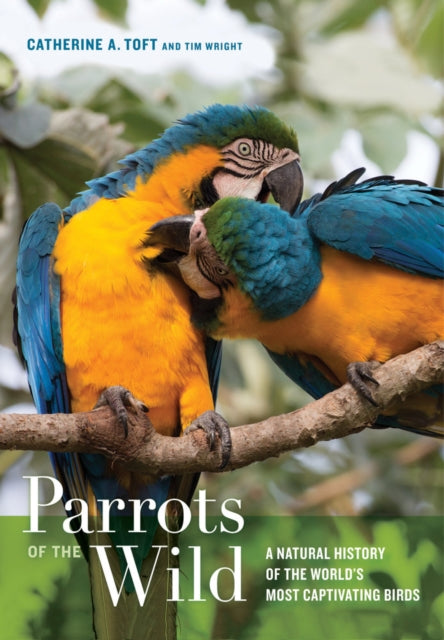 Binding: Hardcover
Description: Explores recent scientific discoveries and what they reveal about the lives of wild parrots which are among the most intelligent and rarest of birds.
