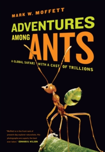 Binding: Paperback
Description: Takes us around the globe on a colorful journey in search of the hidden world of ants.
