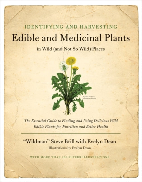 Dean Evelyn - Identifying And Harvesting Edible And Medicinal Plants - Paperback