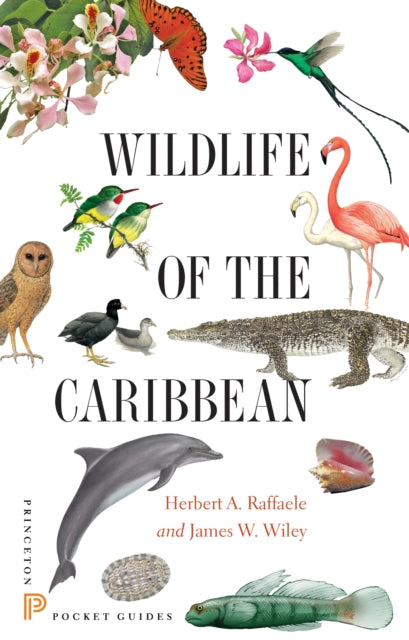 Binding: Paperback
Description: The essential guide to the living wonders of the Caribbean islands This is the first comprehensive illustrated guide to the natural world of the Caribbean islands. It contains 600 vivid color images featuring 451 species of plants birds mammals fish seashells and much more.