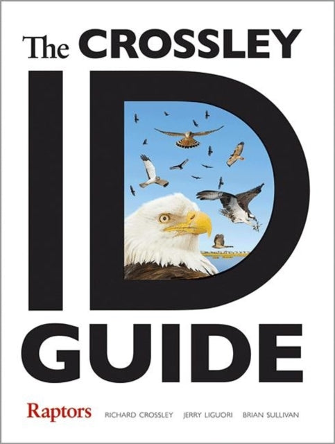 Sullivan Brian L. - The Crossley Id Guide Raptors - Paperback